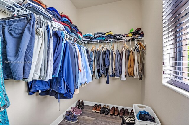 spacious closet with hardwood / wood-style flooring