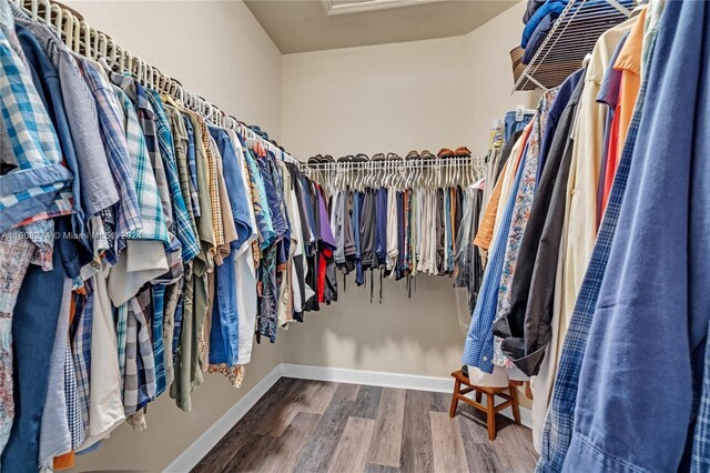 spacious closet with hardwood / wood-style floors