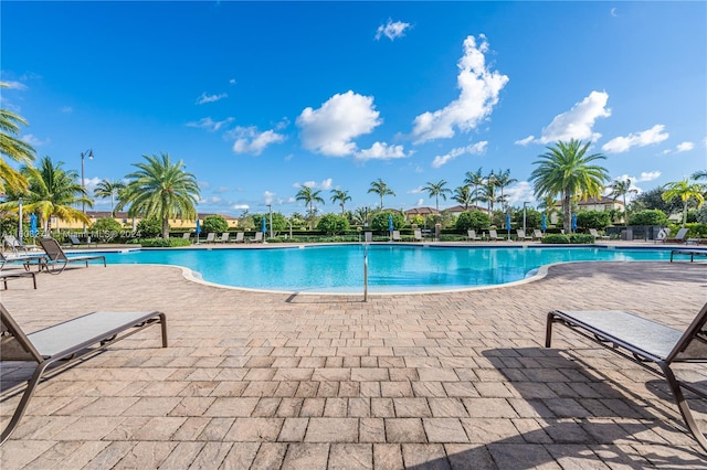 view of swimming pool with a patio