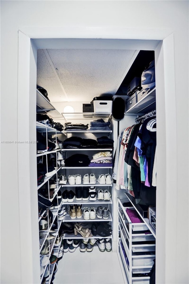 view of walk in closet