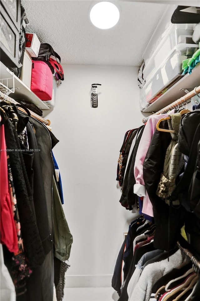 view of spacious closet