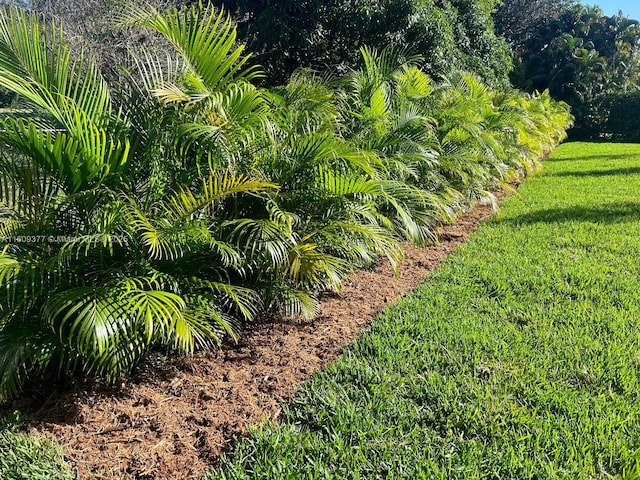 12231 SW 2nd St, Plantation, FL 33325 - view of grassy yard