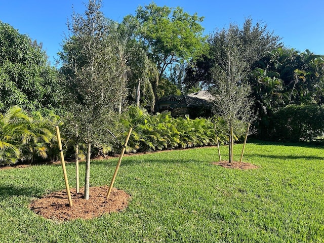12231 SW 2nd St, Plantation, FL 33325 - view of grassy yard