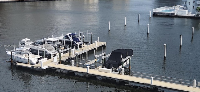 dock area with a water view