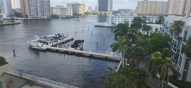 view of water feature with a dock