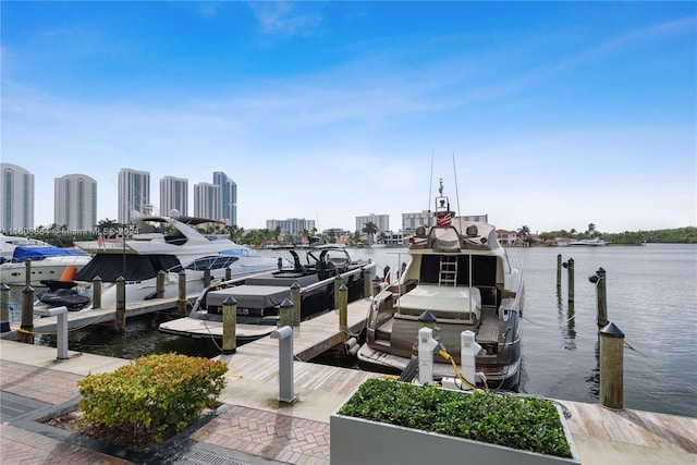 dock area featuring a skyline view and a water view