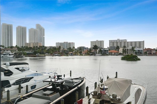 dock area featuring a water view