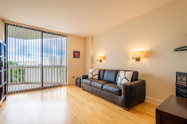 living room featuring light hardwood / wood-style flooring