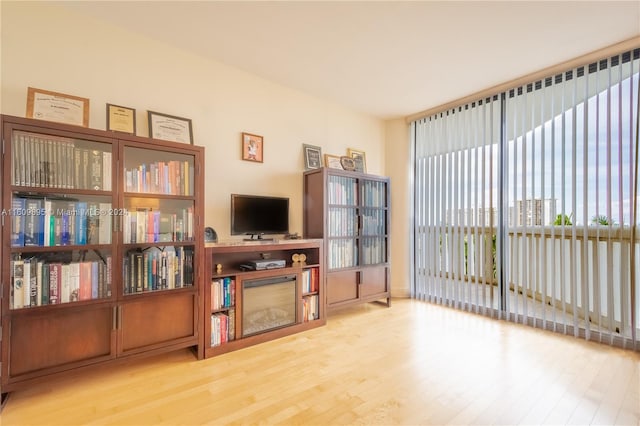 living area featuring light hardwood / wood-style flooring