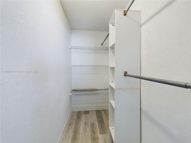 spacious closet featuring light hardwood / wood-style floors