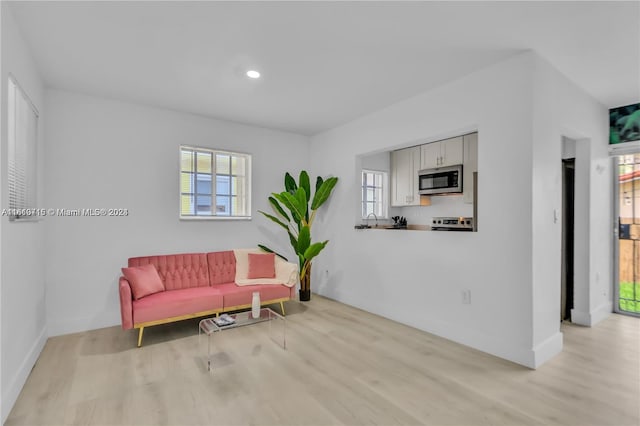 sitting room with sink and light hardwood / wood-style floors