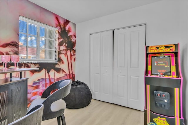 bedroom with a closet and wood-type flooring