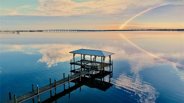 dock area with a water view