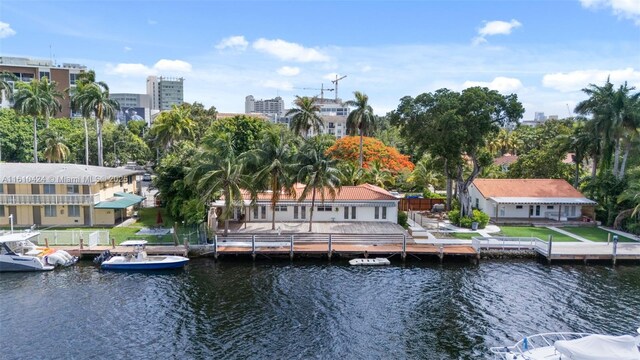 water view featuring a boat dock