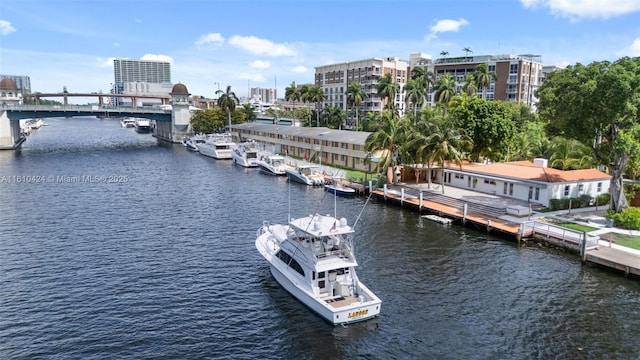 property view of water featuring a boat dock