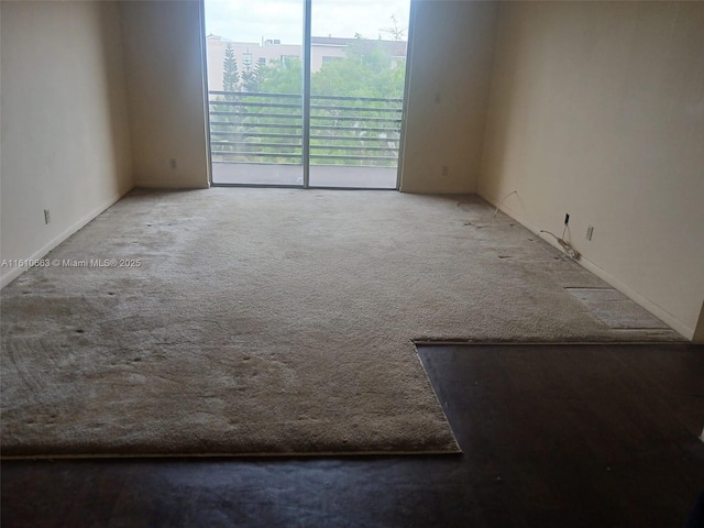 unfurnished room with carpet flooring