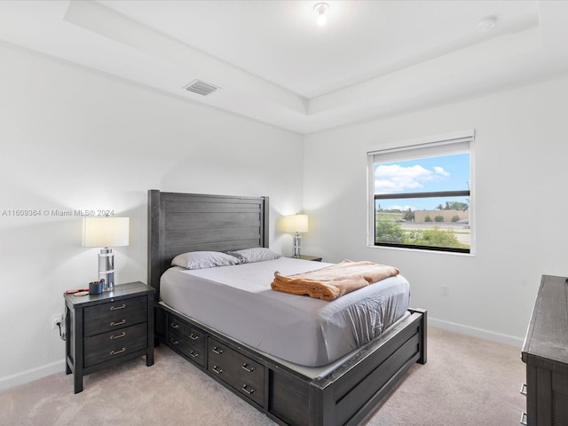 carpeted bedroom featuring a tray ceiling