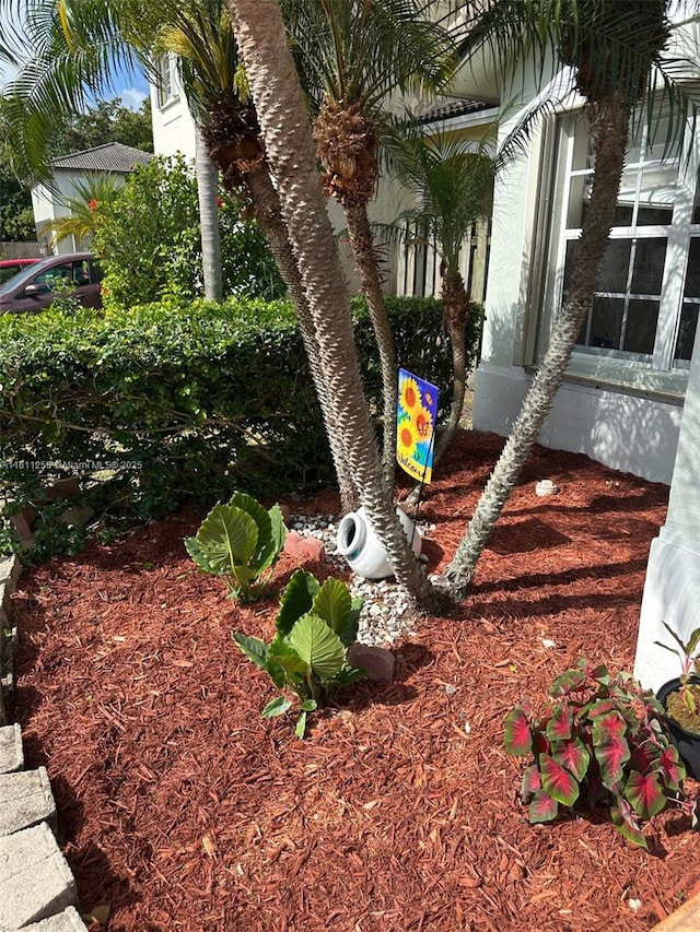 21532 SW 88th Pl, Cutler Bay, FL 33189 - view of yard