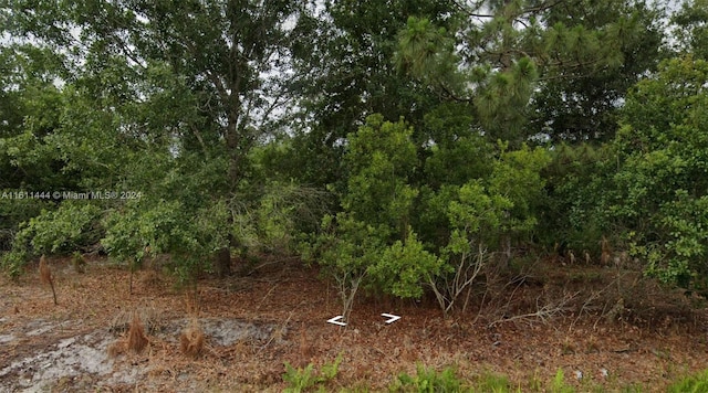 7947 Ancha St, Sebring, FL 33870