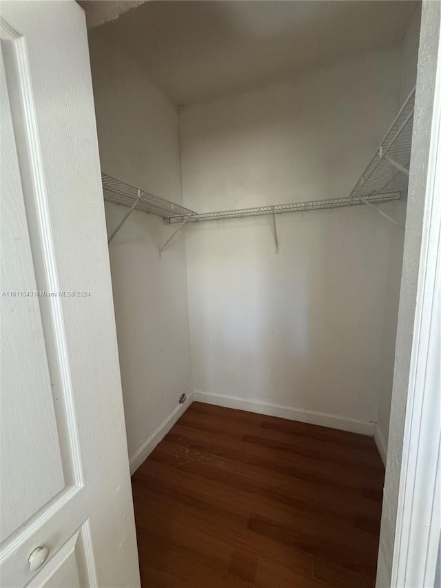 walk in closet with dark wood-type flooring