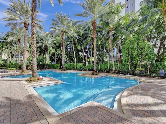 view of swimming pool with a patio area