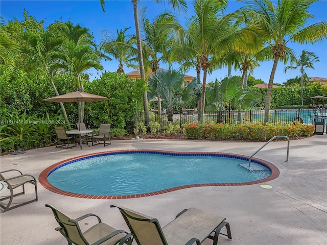 view of pool featuring a patio