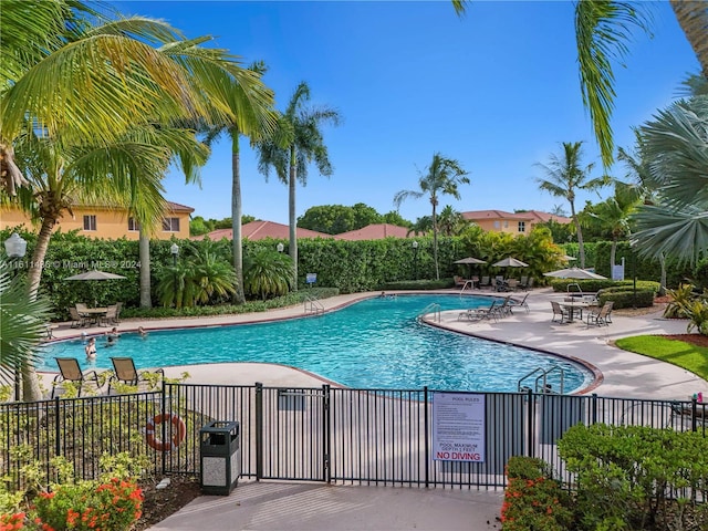 view of swimming pool with a patio