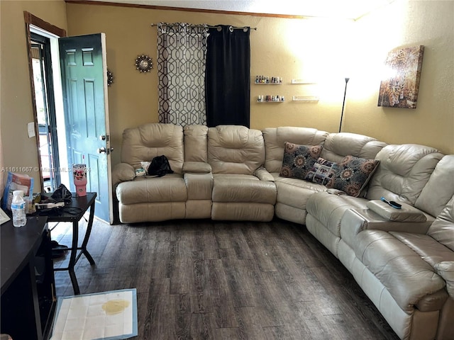 living room with dark hardwood / wood-style floors