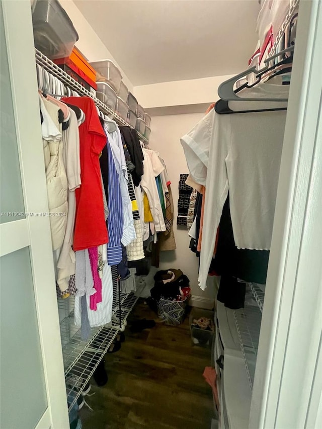 spacious closet featuring wood-type flooring