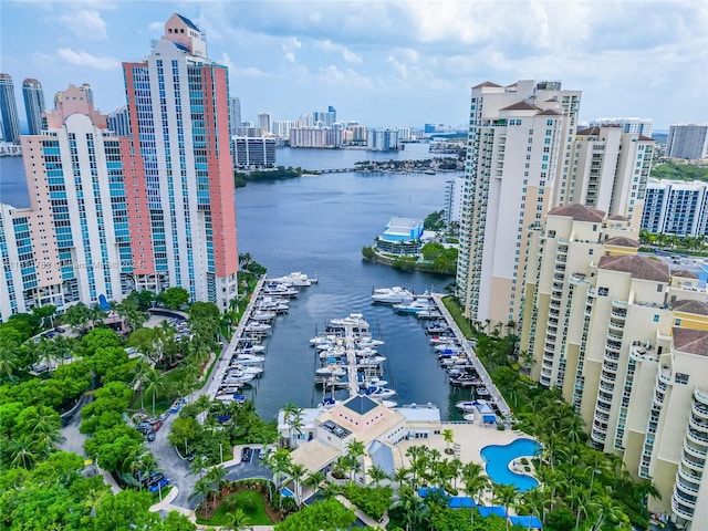 bird's eye view with a water view