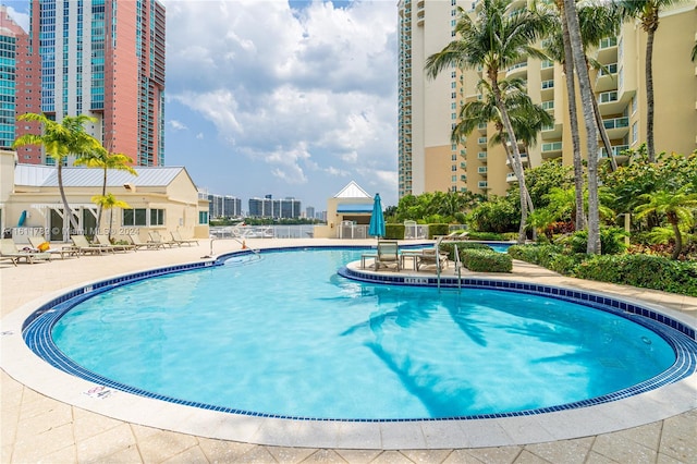 view of swimming pool with a patio