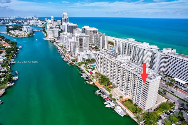 bird's eye view featuring a city view and a water view