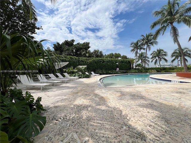 view of swimming pool featuring a patio area