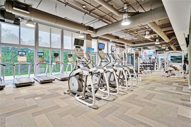 workout area with light carpet