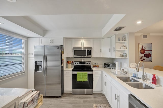 kitchen featuring sink, appliances with stainless steel finishes, a tray ceiling, and white cabinetry