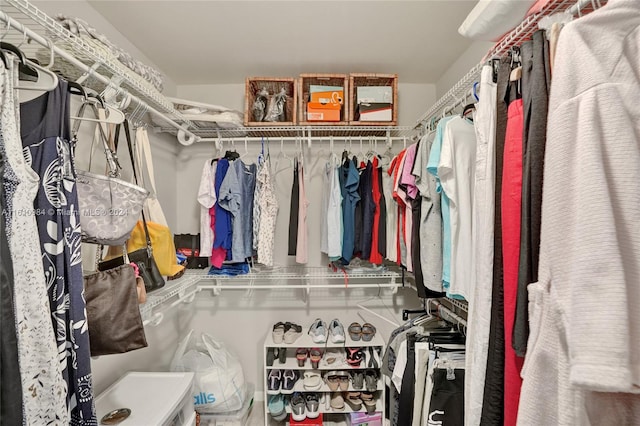 view of walk in closet