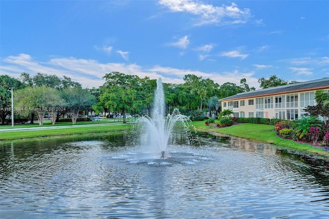 view of water feature