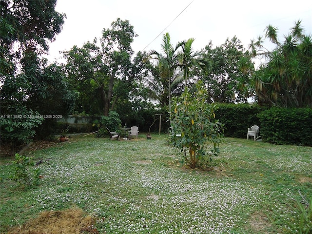 260 NW 119th St, Miami, FL 33168 - view of yard