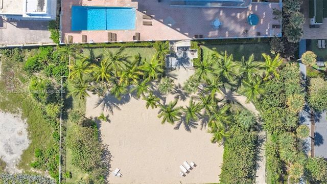 bird's eye view
