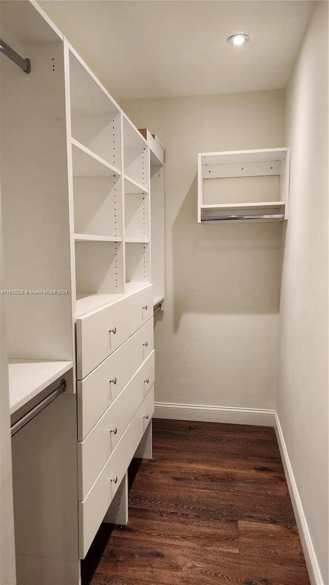 walk in closet featuring dark hardwood / wood-style flooring