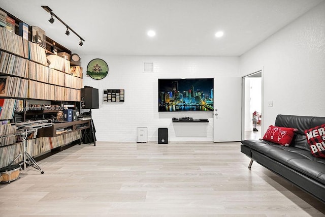 living room with light hardwood / wood-style flooring and rail lighting