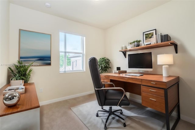 office space featuring light colored carpet