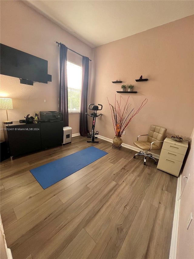 workout area featuring hardwood / wood-style floors