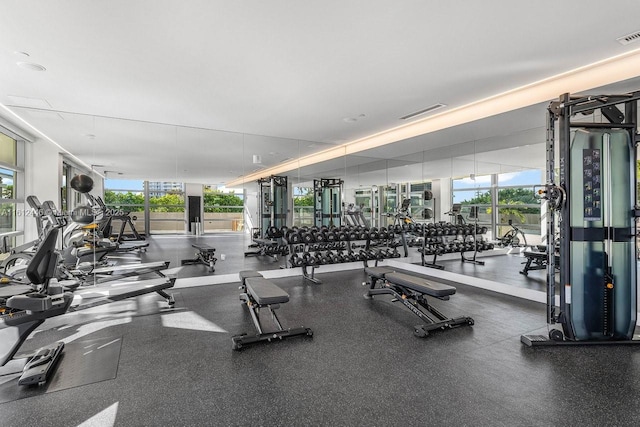 exercise room featuring floor to ceiling windows and a healthy amount of sunlight