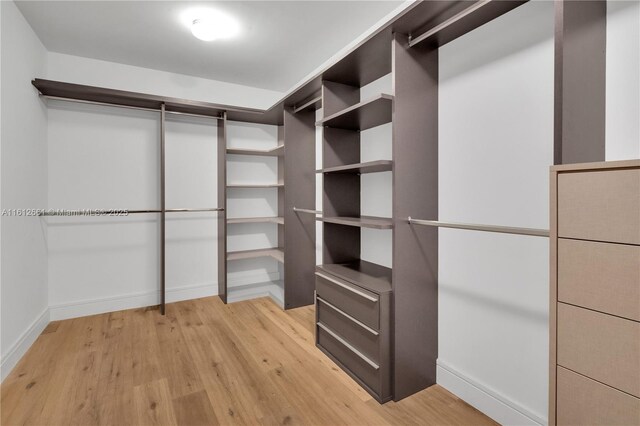 walk in closet featuring light hardwood / wood-style floors