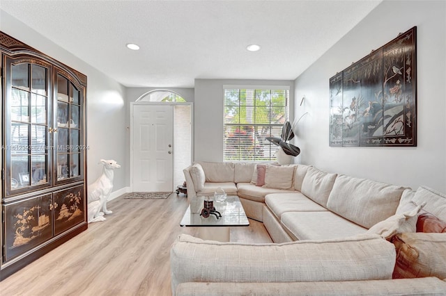 living room featuring light wood-type flooring