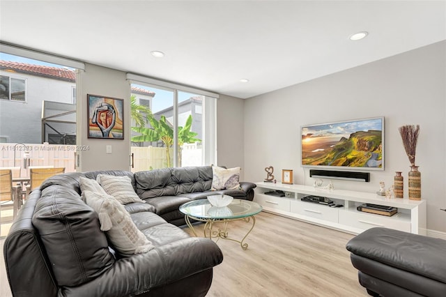 living room with light hardwood / wood-style floors