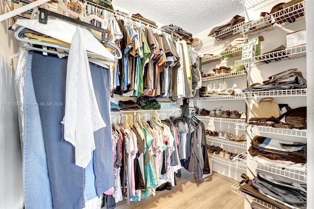 spacious closet featuring wood-type flooring