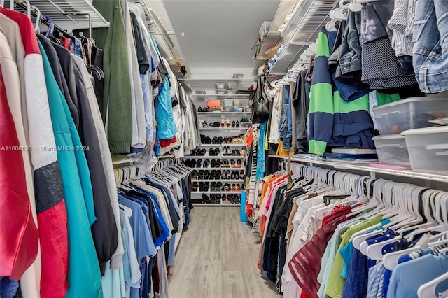 walk in closet featuring hardwood / wood-style flooring