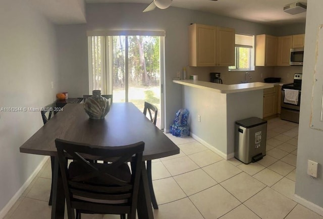 kitchen with light brown cabinets, a healthy amount of sunlight, and appliances with stainless steel finishes